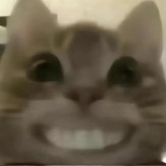 科比