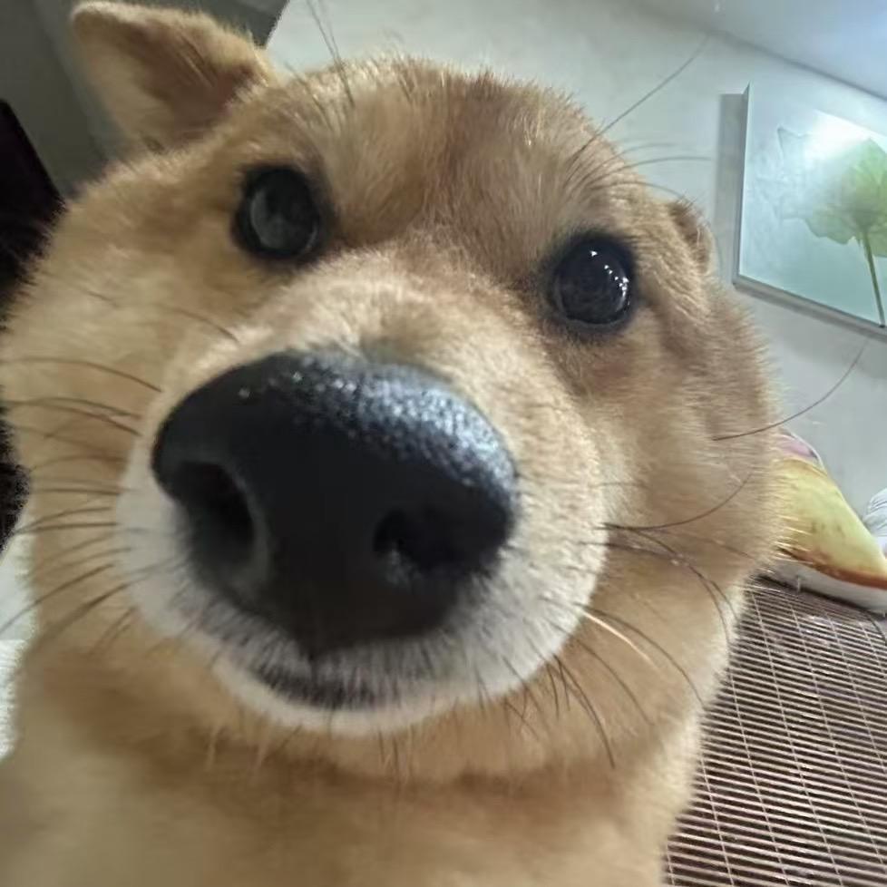 咕噜皮