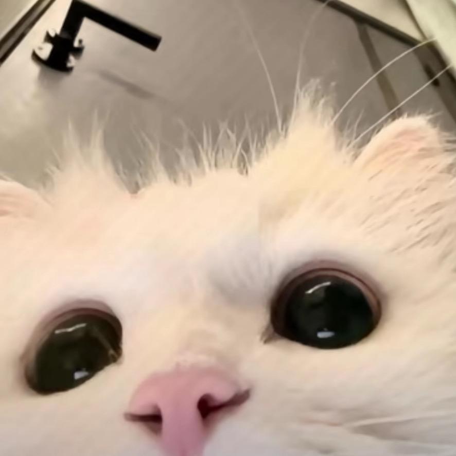 然然OuO