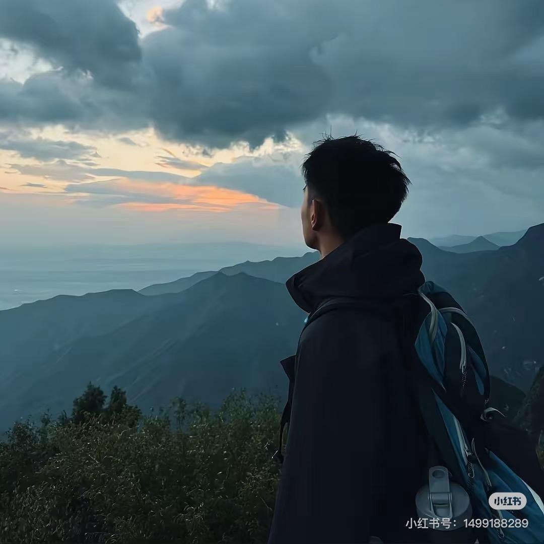 大少电商实训