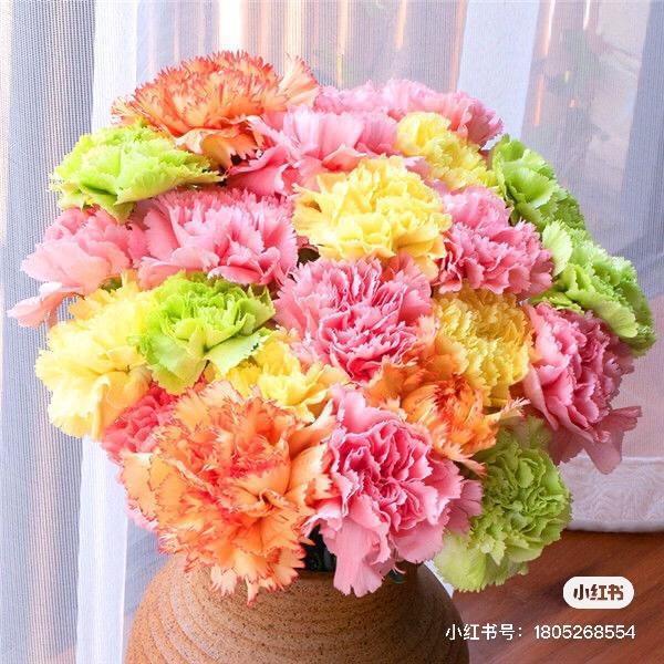 斗南友谊鲜花