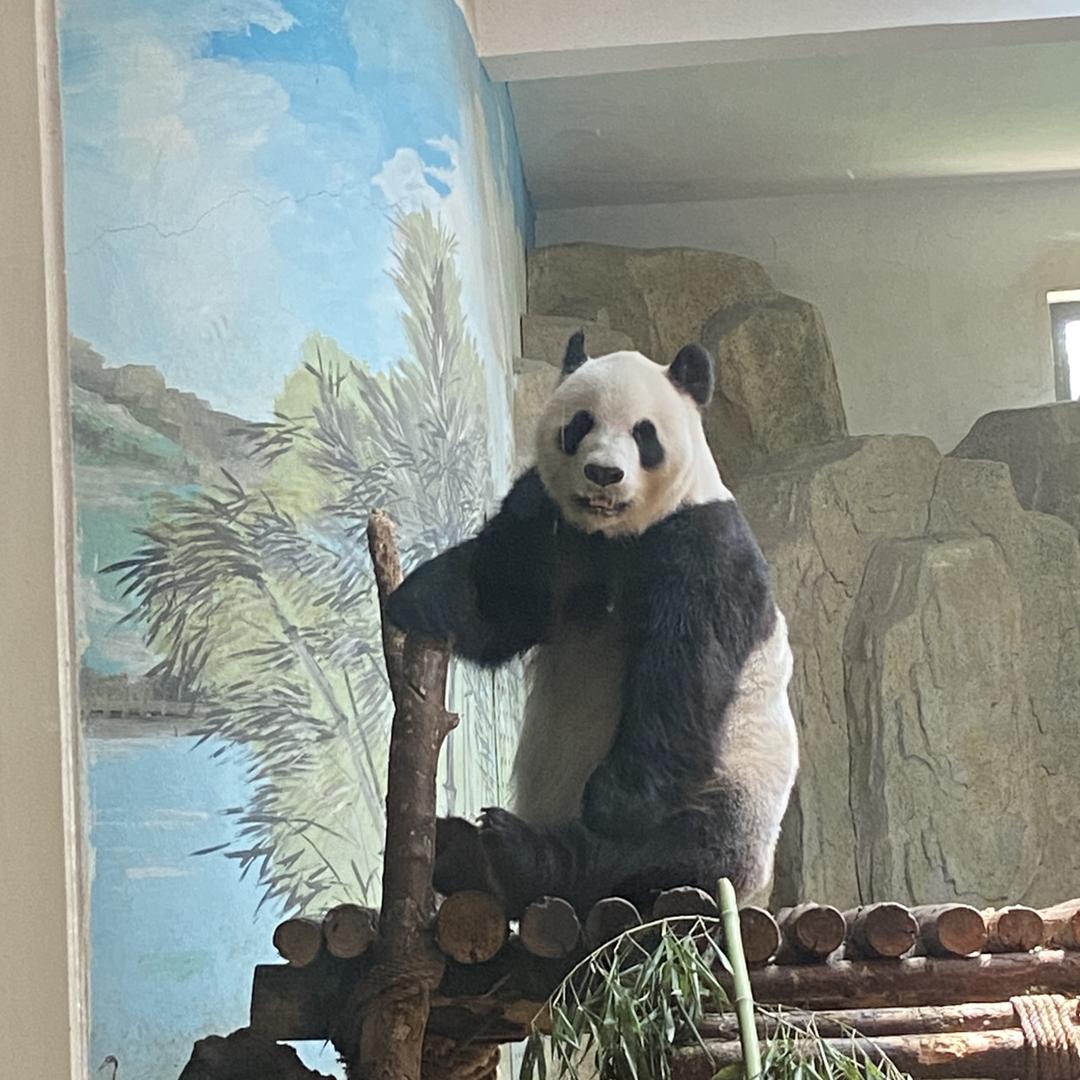 有看头动漫