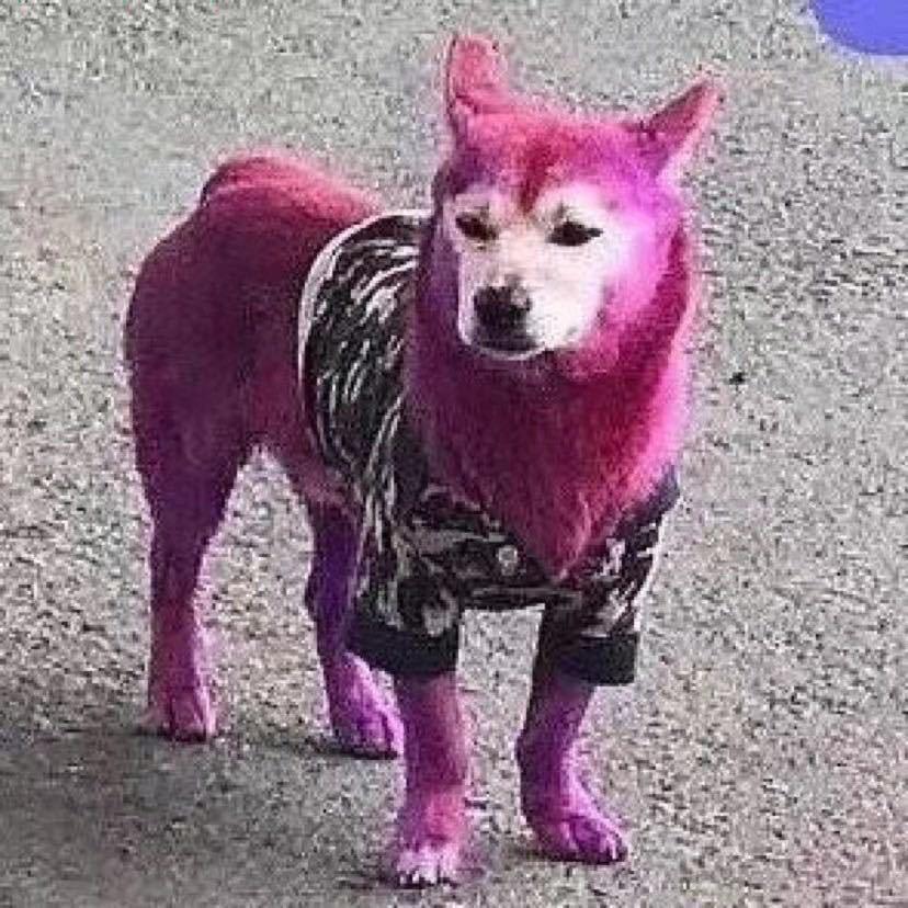 叮叮ㅤ