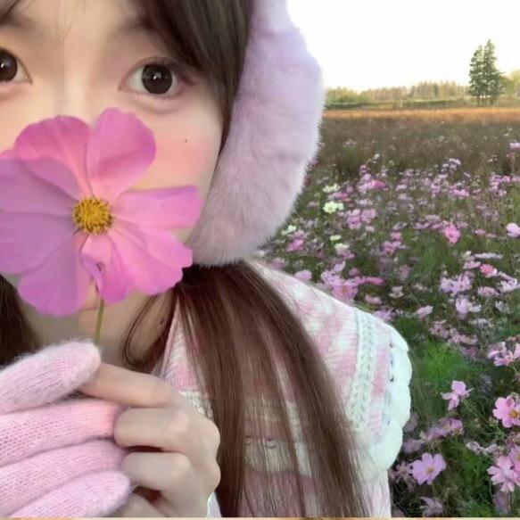 裤米花