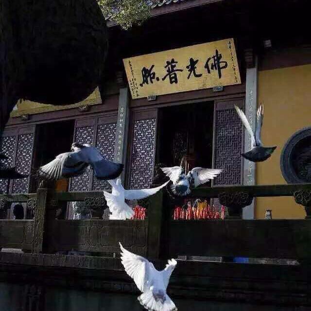 䨺龘芔悳