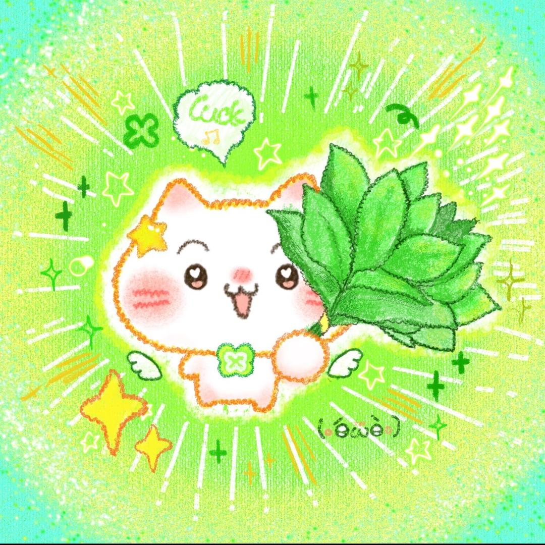 小蒋🌻