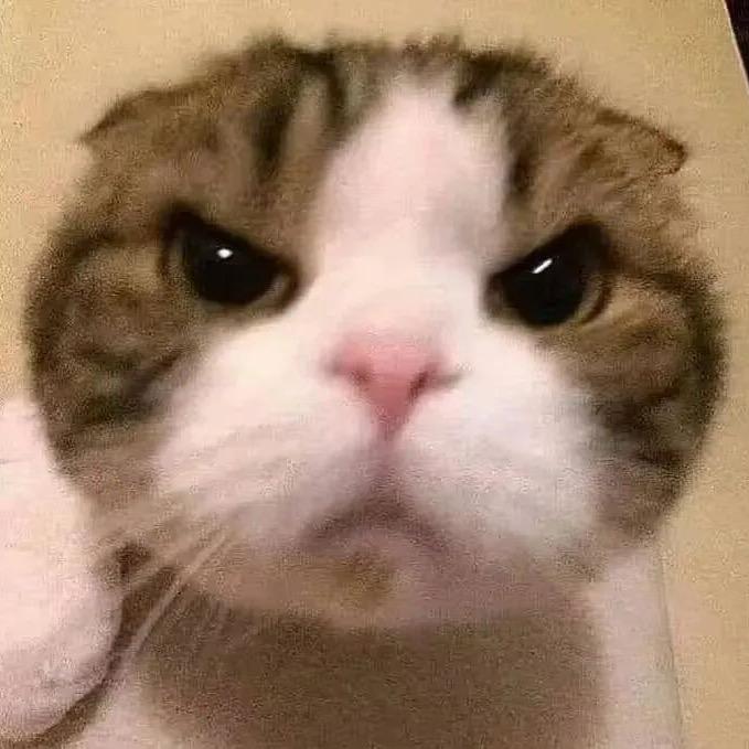 符