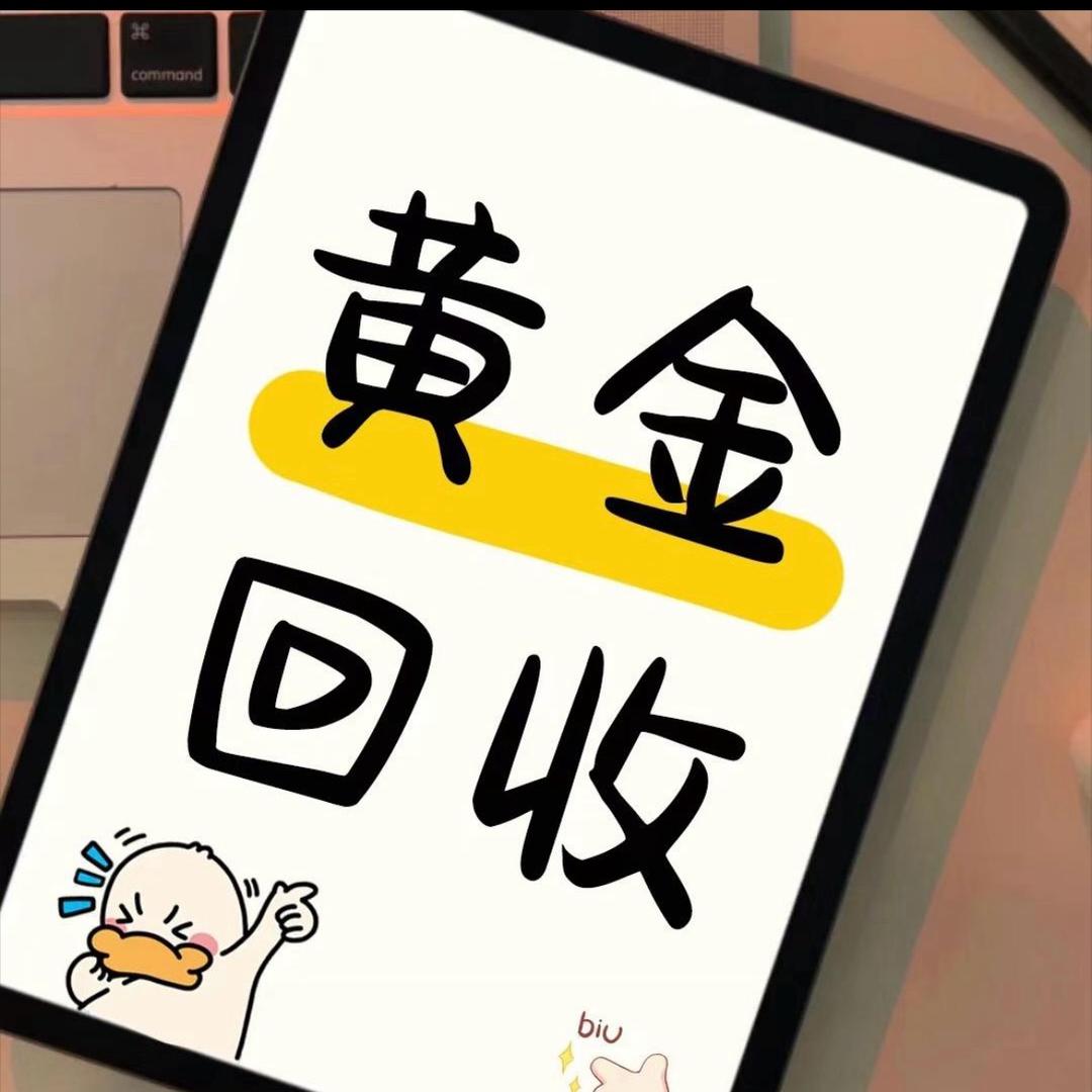 利辛小杨爱收金