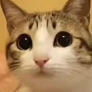 戒掉短视频当现充