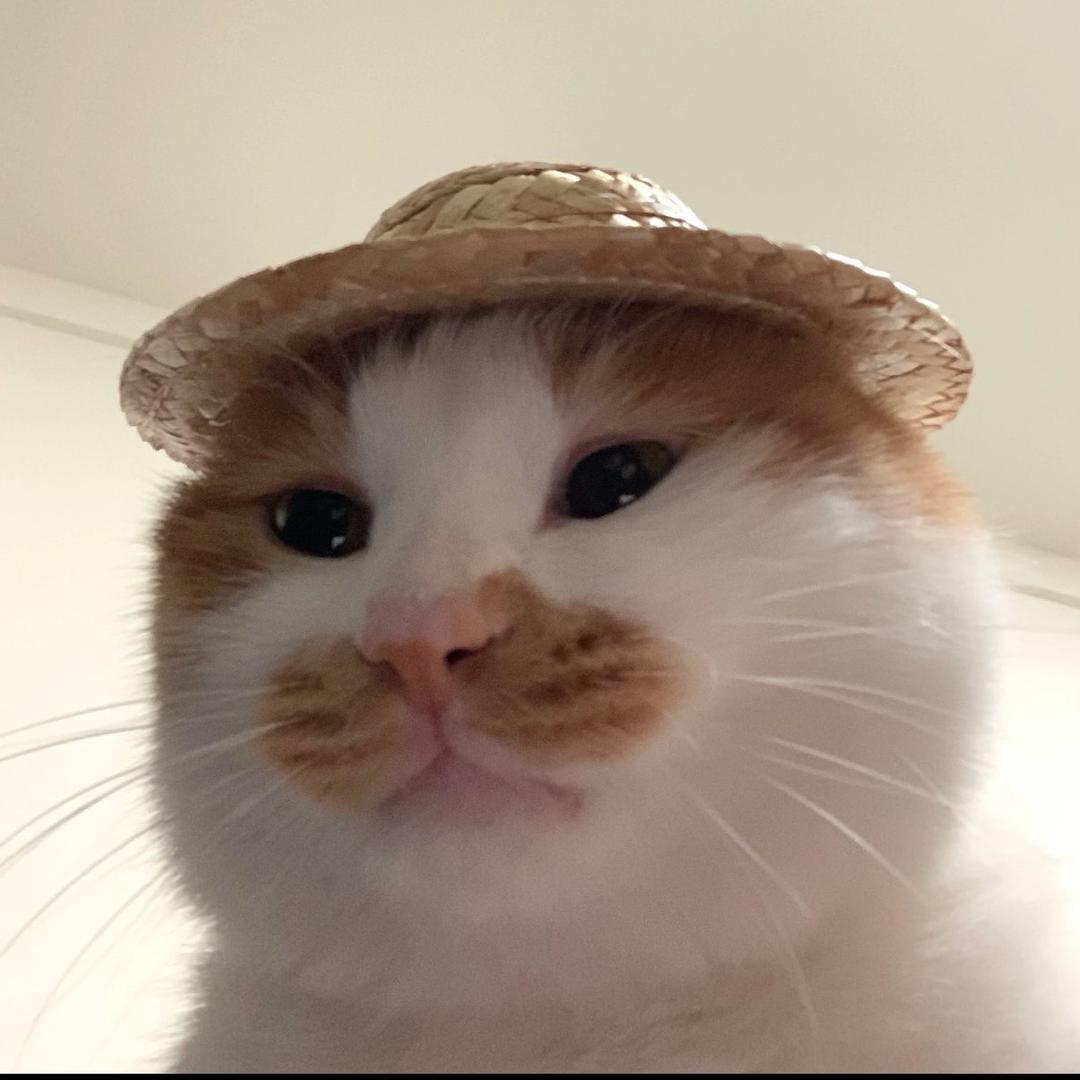 一步桑