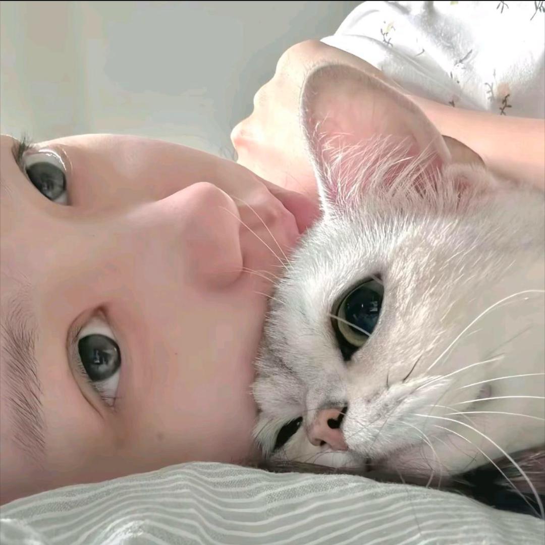 YY.
