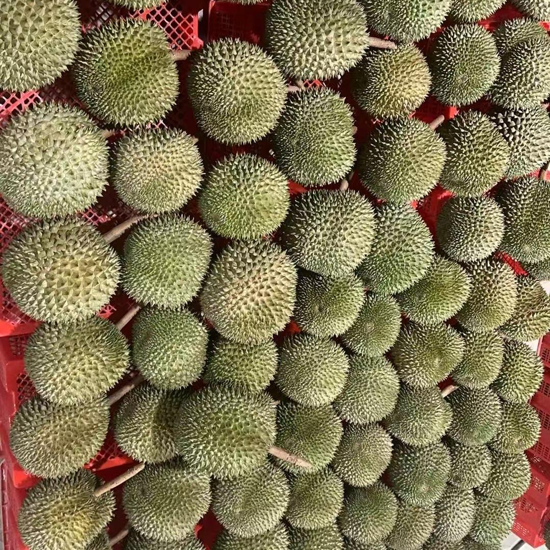 南宁星盛甄选水果店星姐水果店