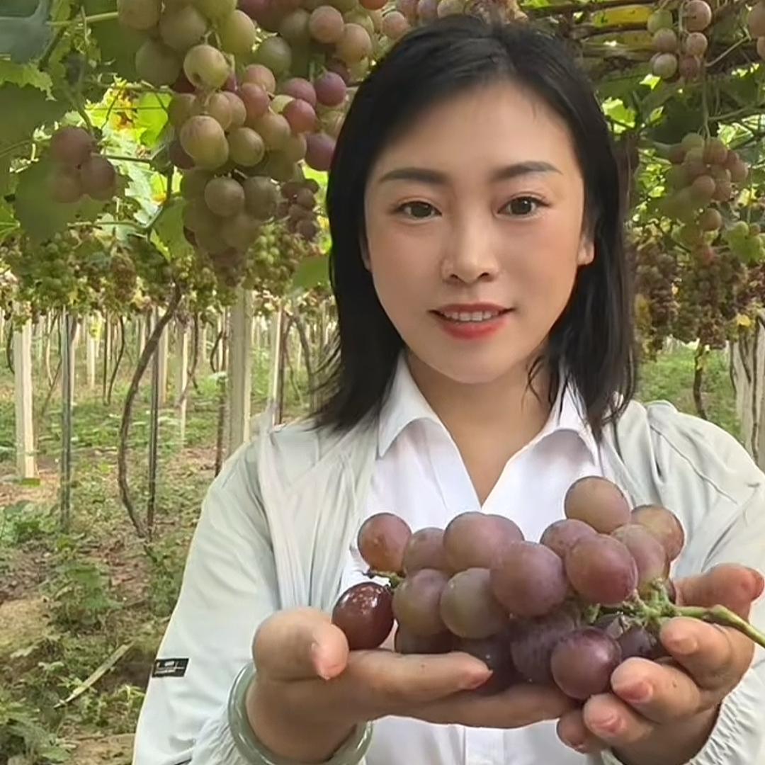 小许村长