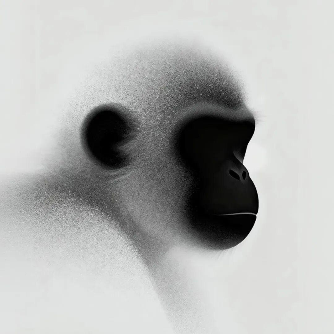 - “核安全高于一切” -