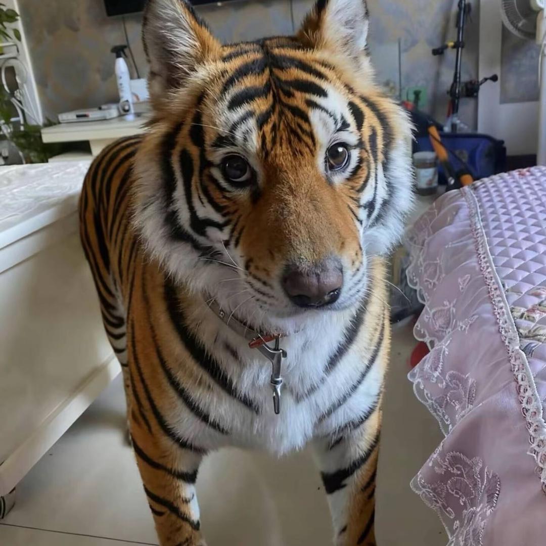 专业光学设备维修保养Ma