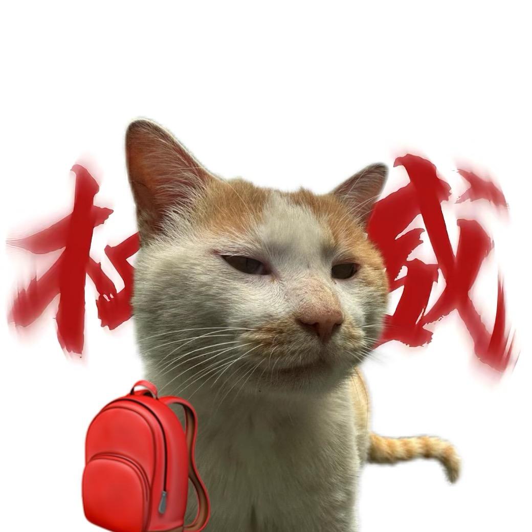 8🎒