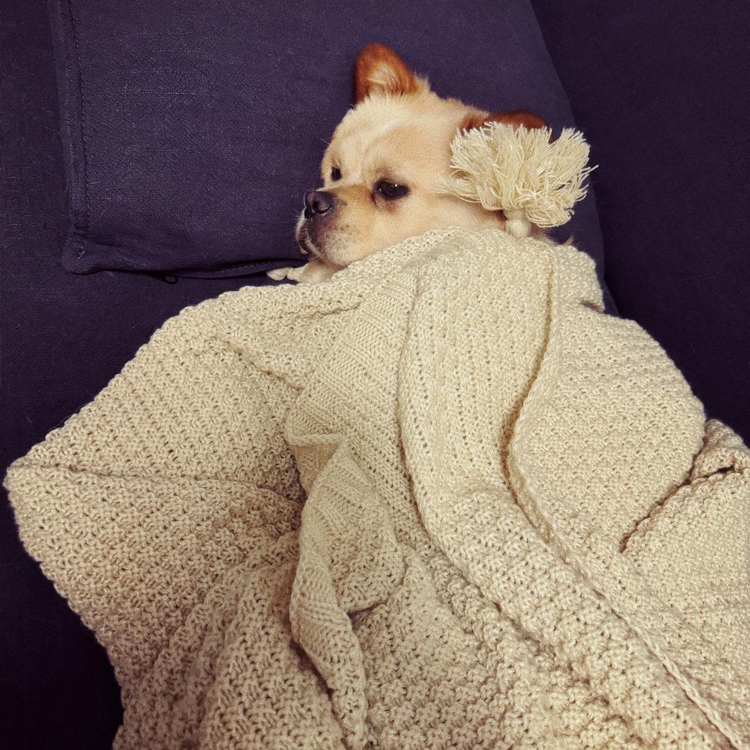 杨肉串是根臭肠