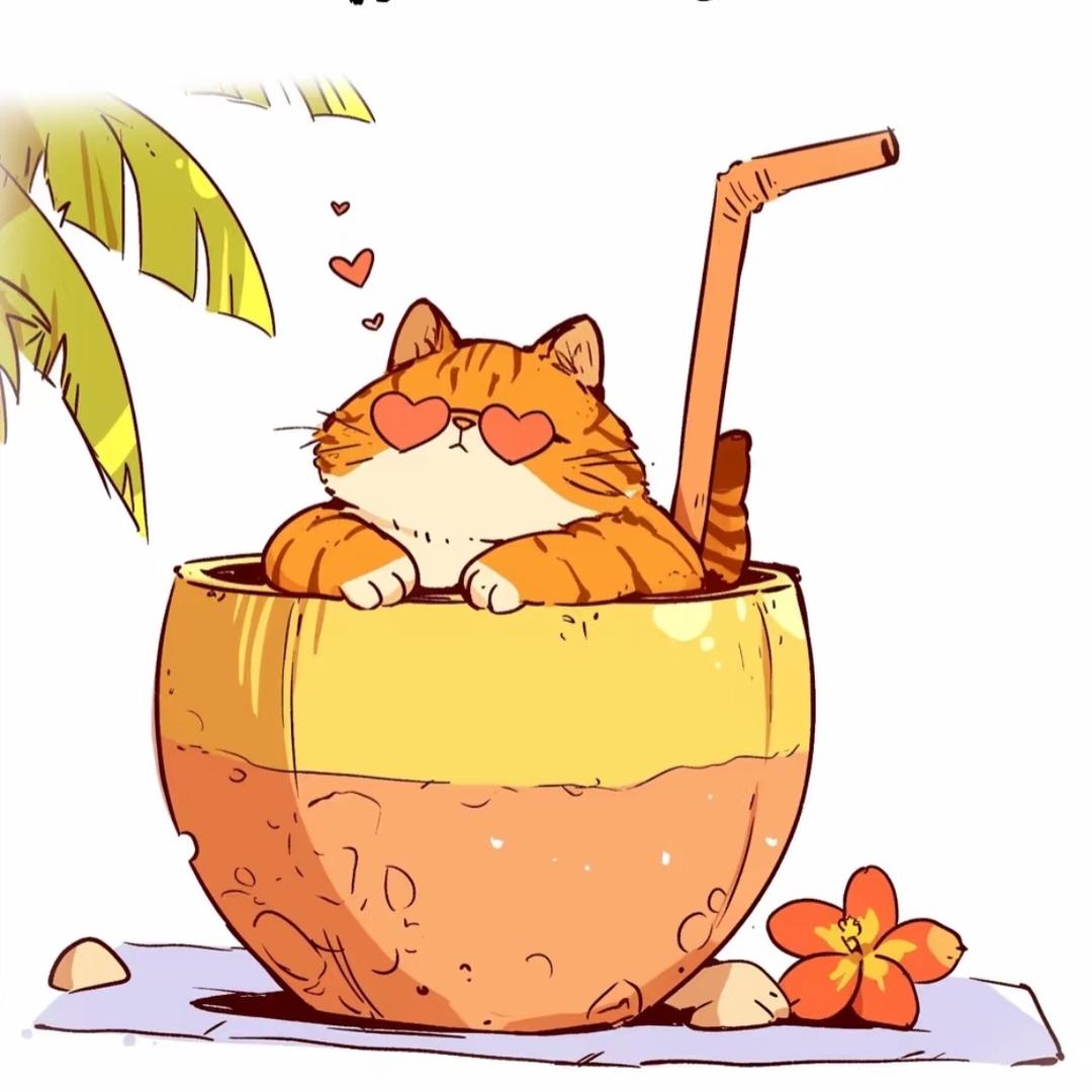 阿九轻食日记