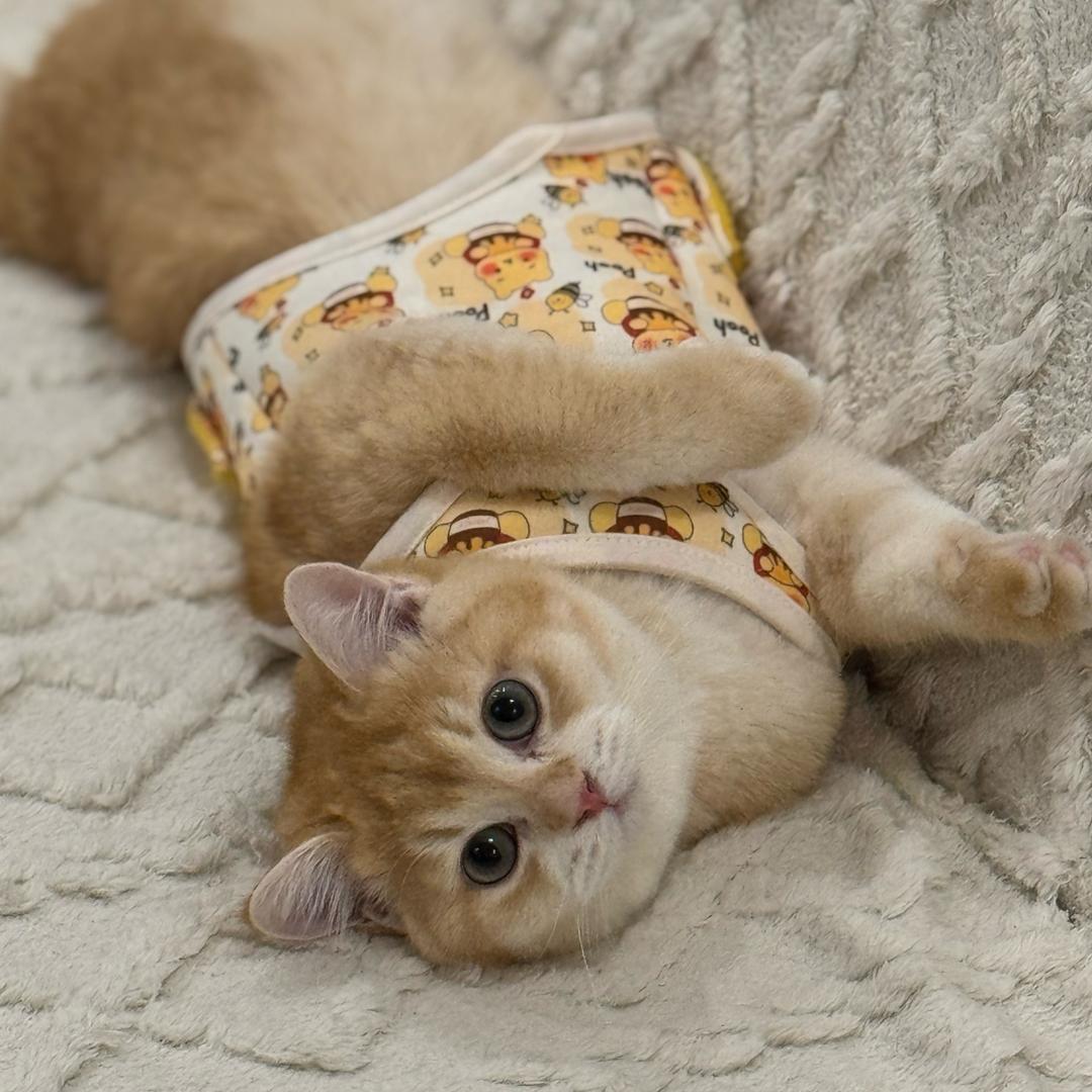 差点长成美女了