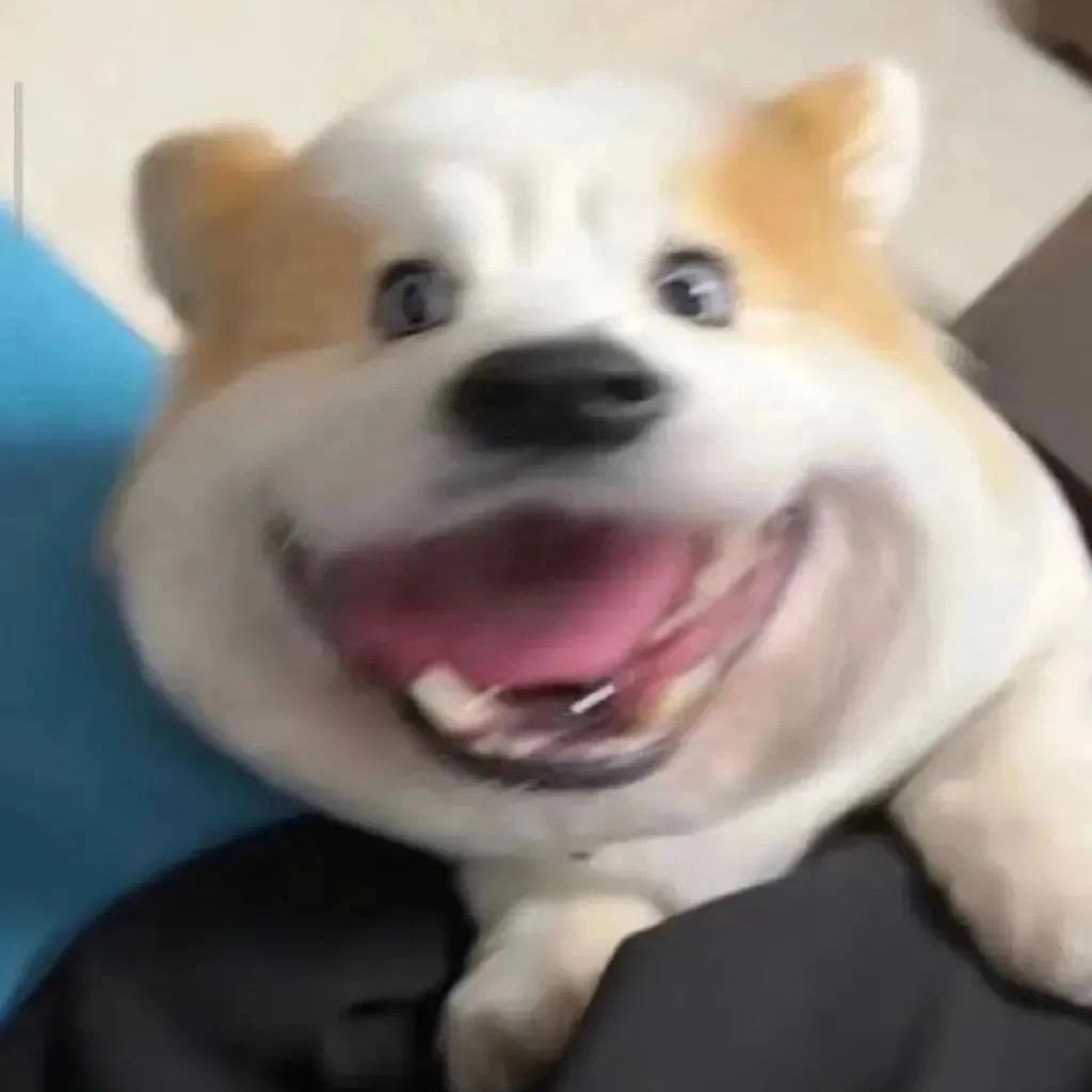 -邱球球-