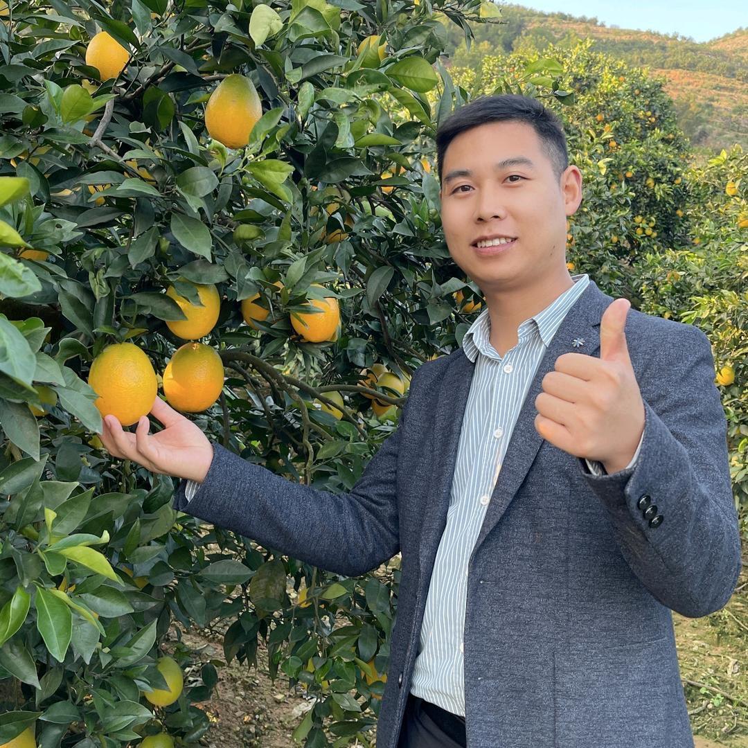 忆味臻选奉节脐橙