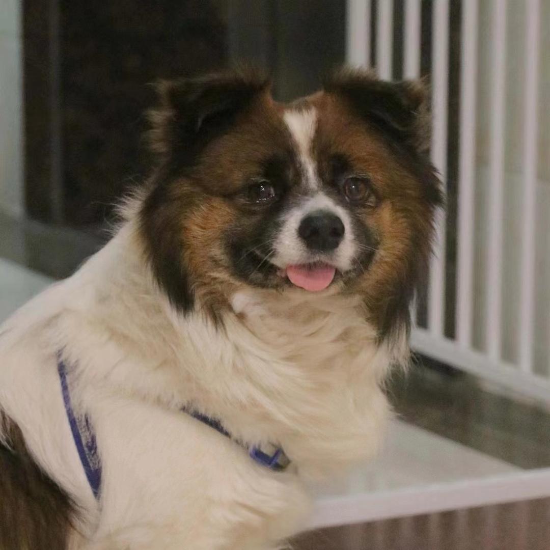 不想走我要秀