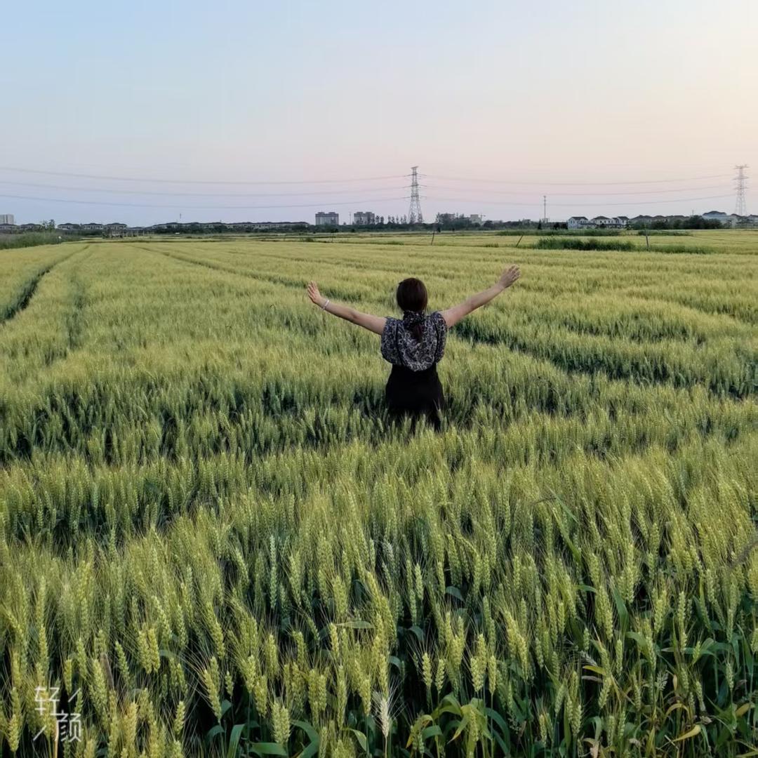 【小凤】爱山歌