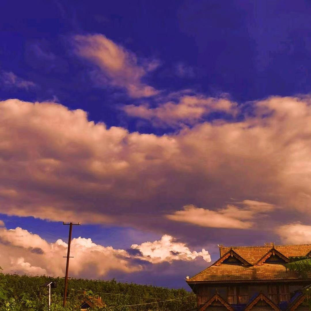 云边有个水果铺