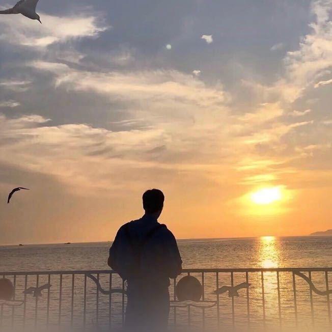 陆多余vlog