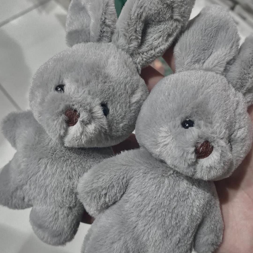 皮蛋豆腐🍙（见过A-Lin版）