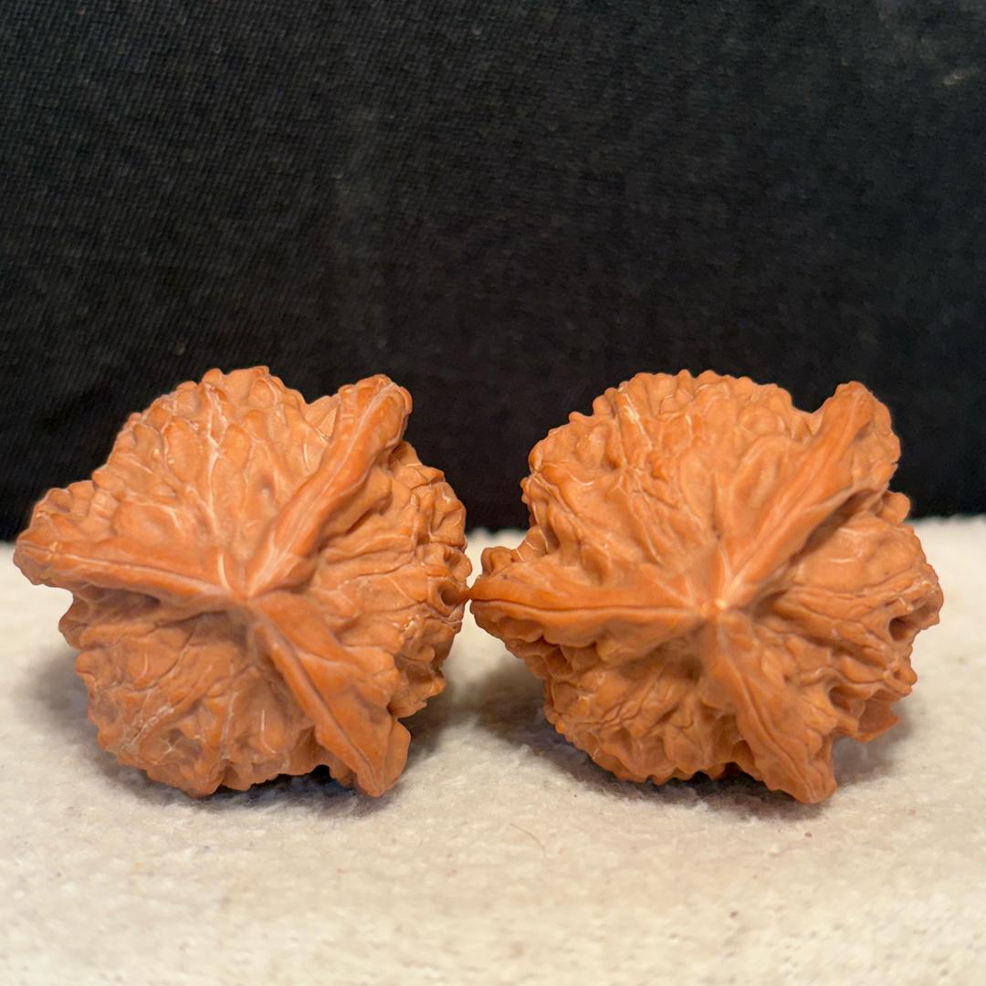 核桃缘（涞水核农）