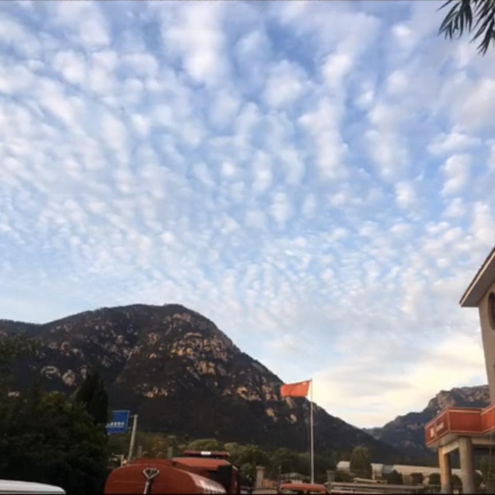 🇨🇳A.绝对忠橙