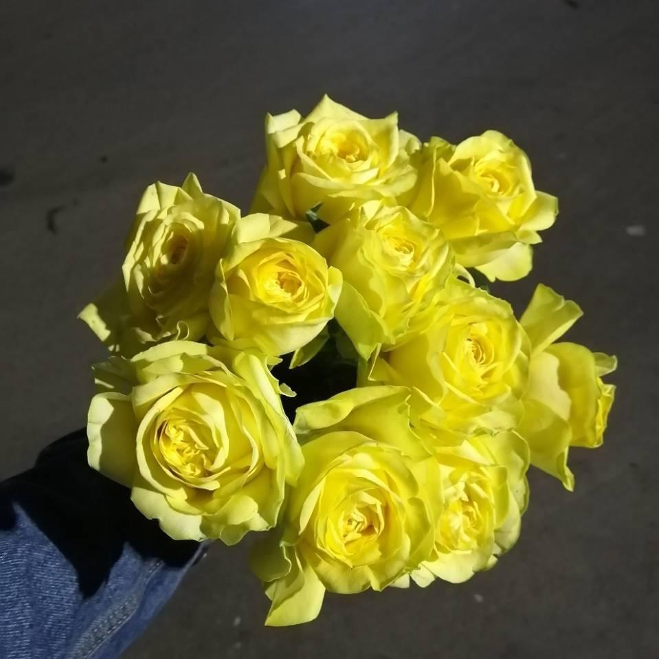 野兽的花
