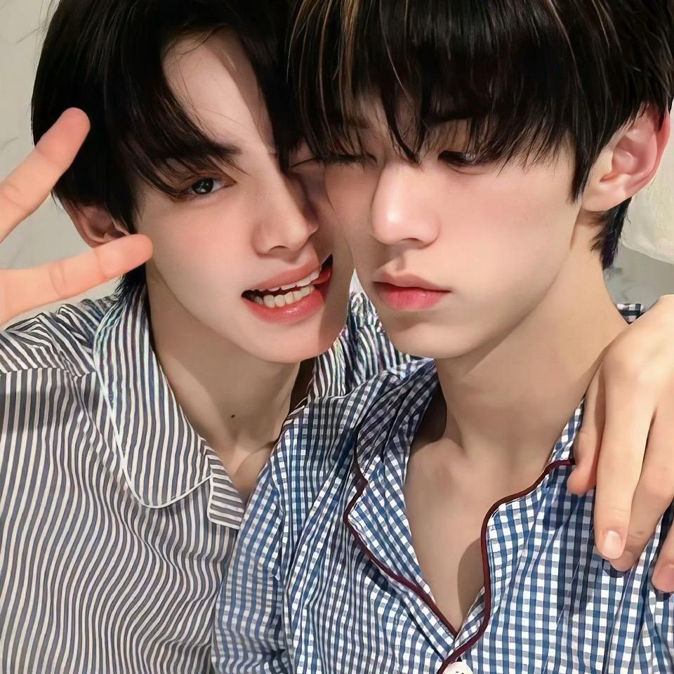 是腮红但是是驴🦄