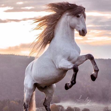 莲花山玄兴悟道