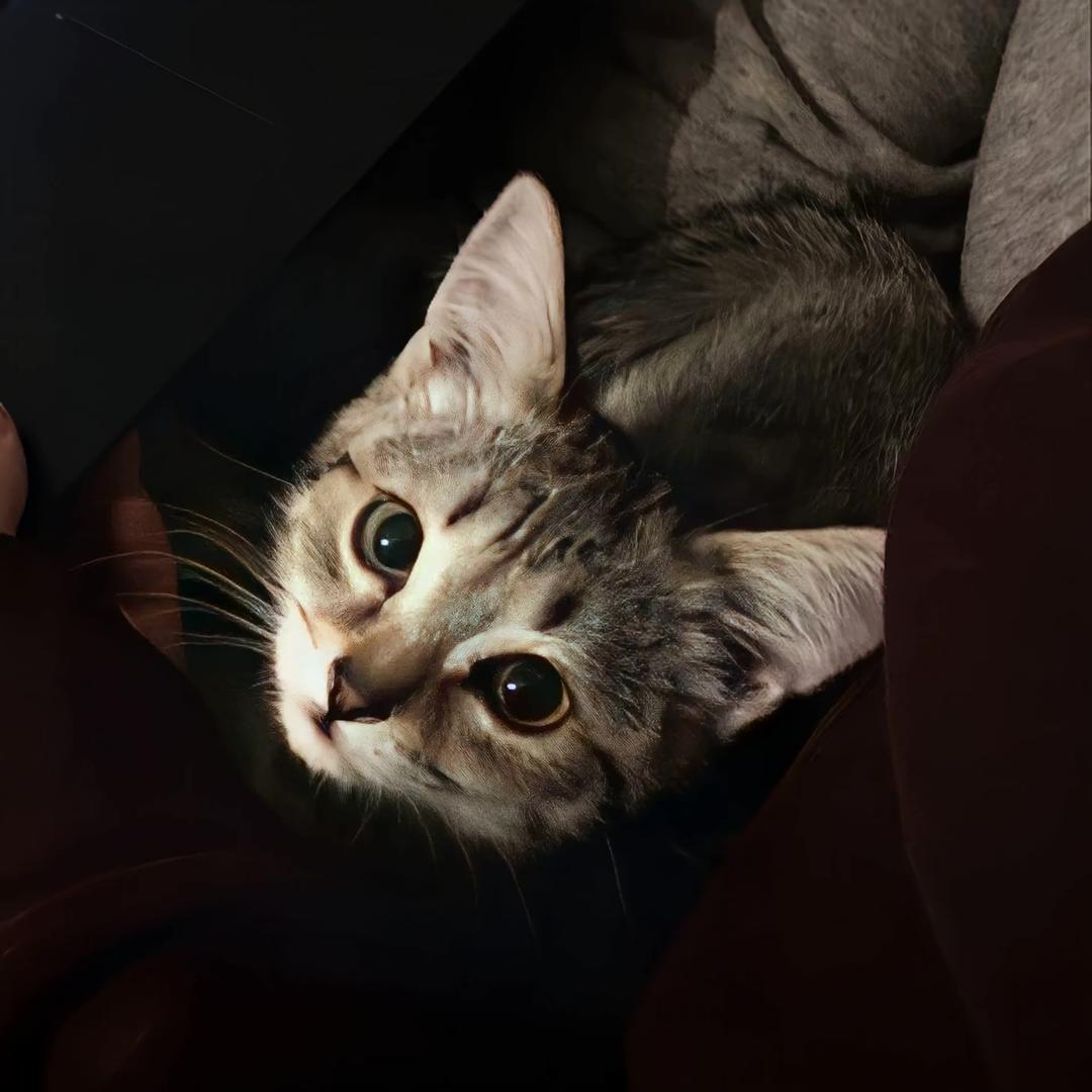 看我不爽的去死 我看着不爽的更去死