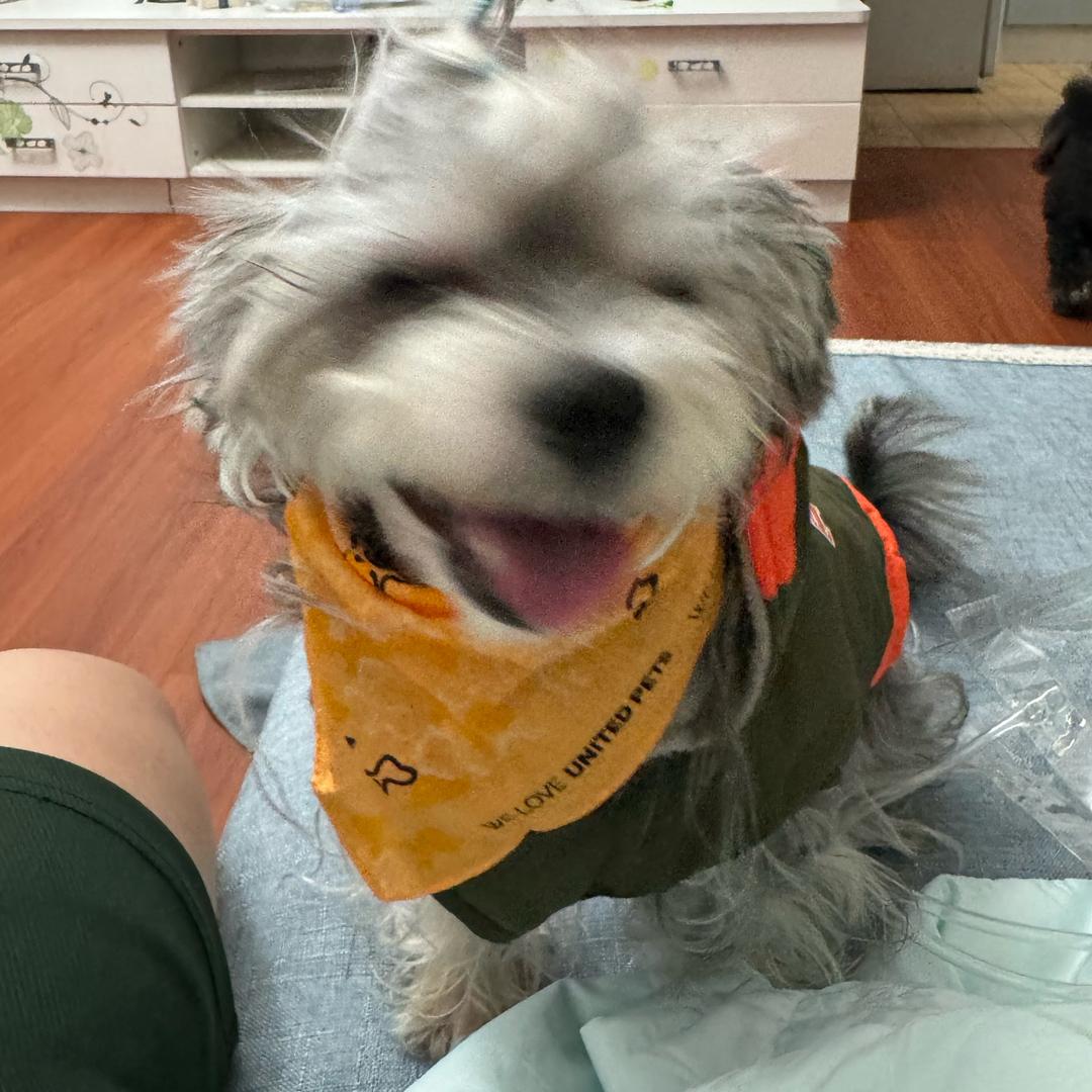 花花宠物（禹州店）