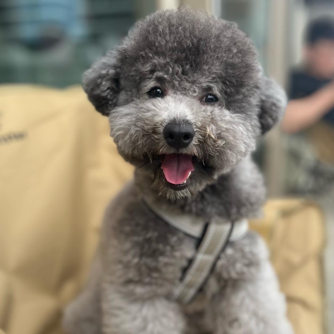 西伯利亚女悍匪👻