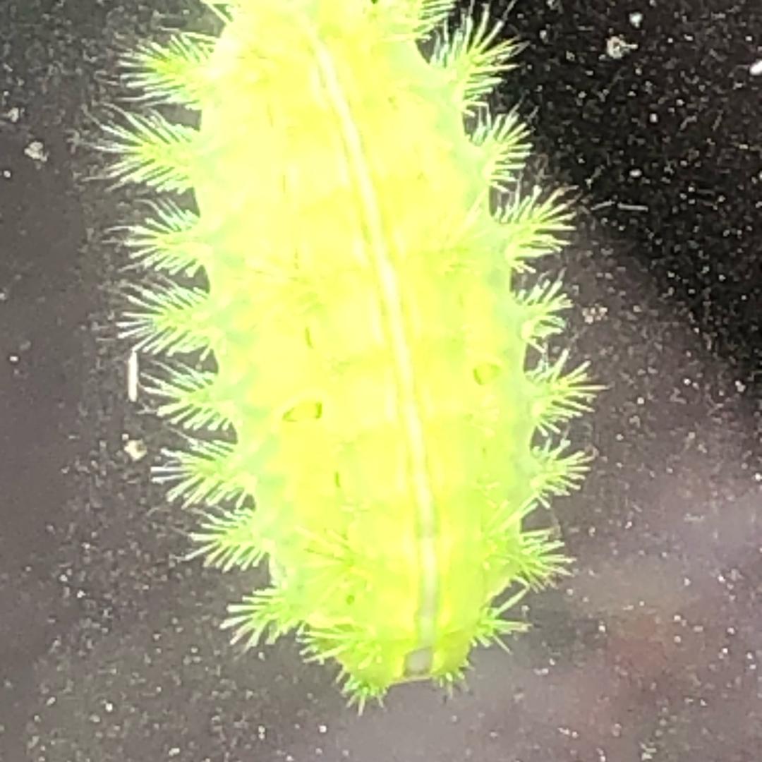 不闪亮的星🌟 🌟 🌟