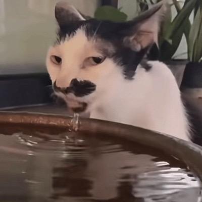 芝士菠萝包