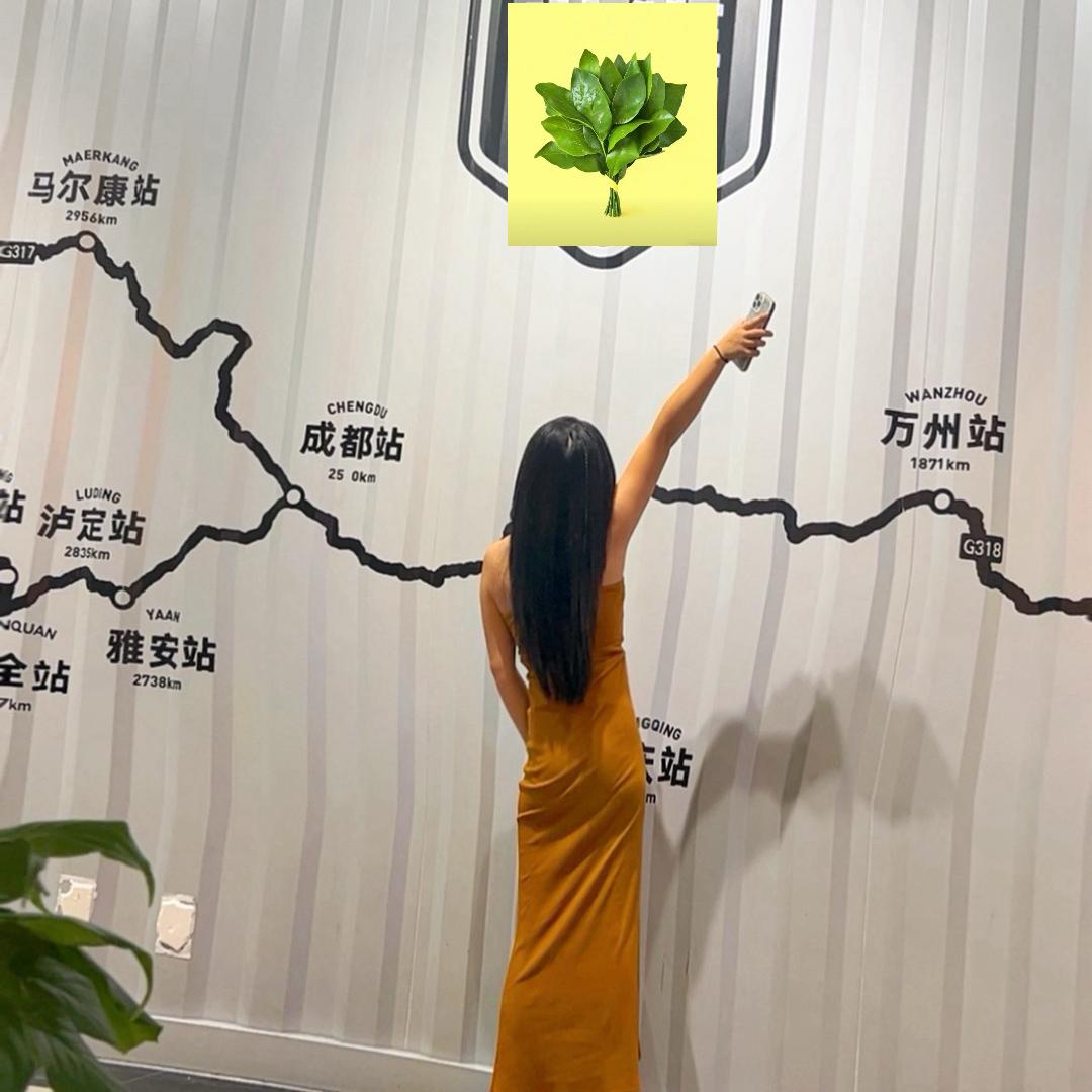 🍒格子🍋 🍓👸