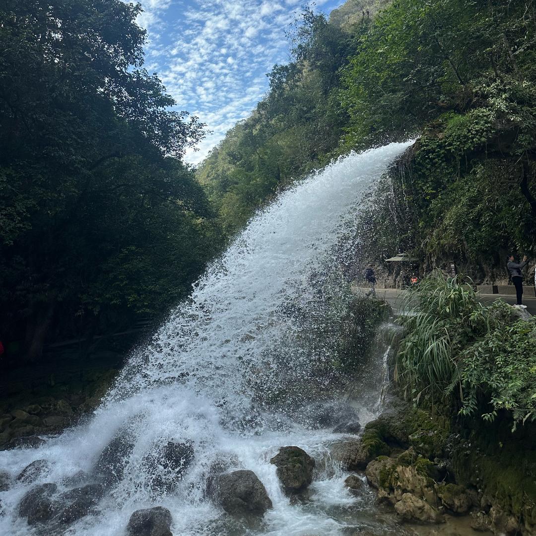 指月圆