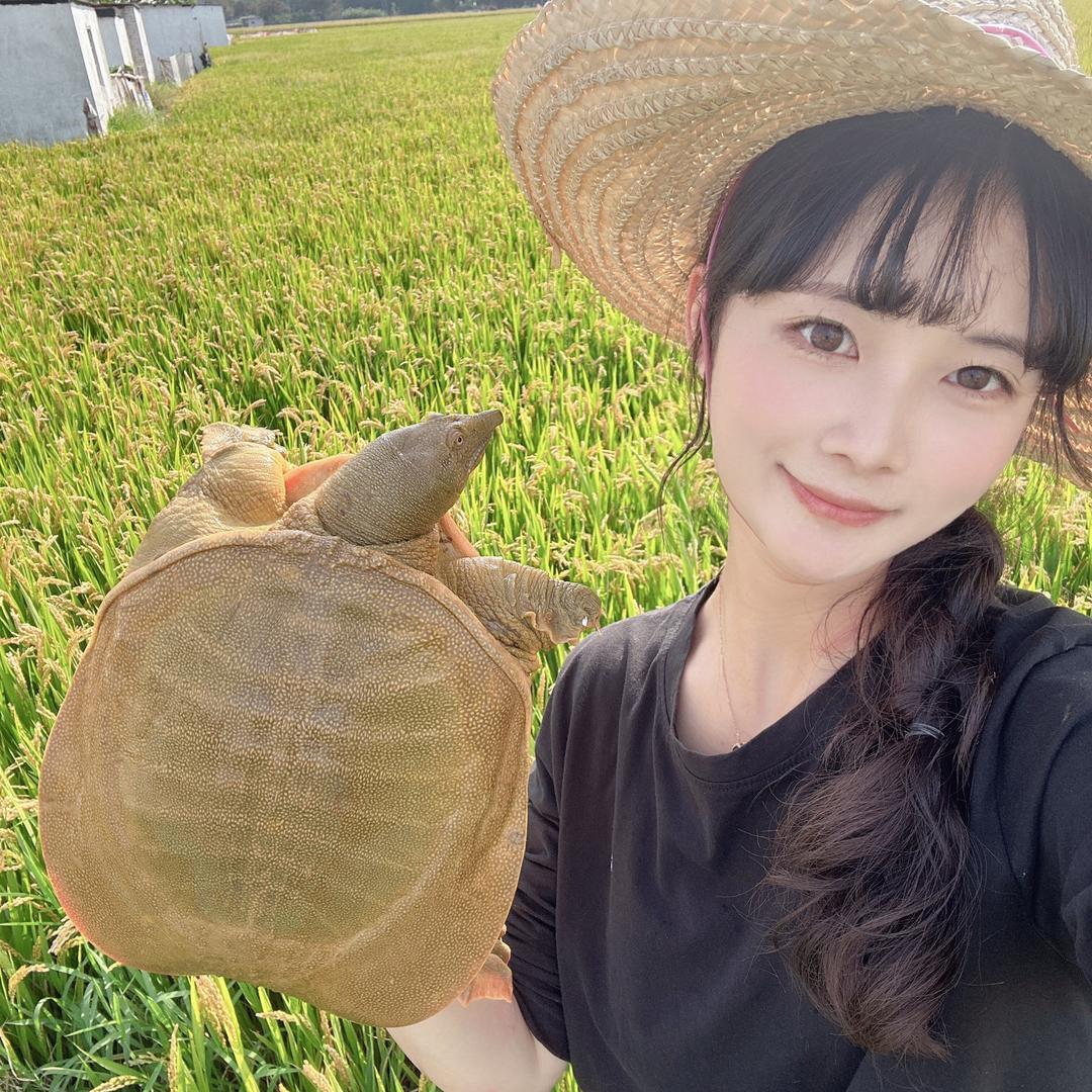 周周家甲鱼