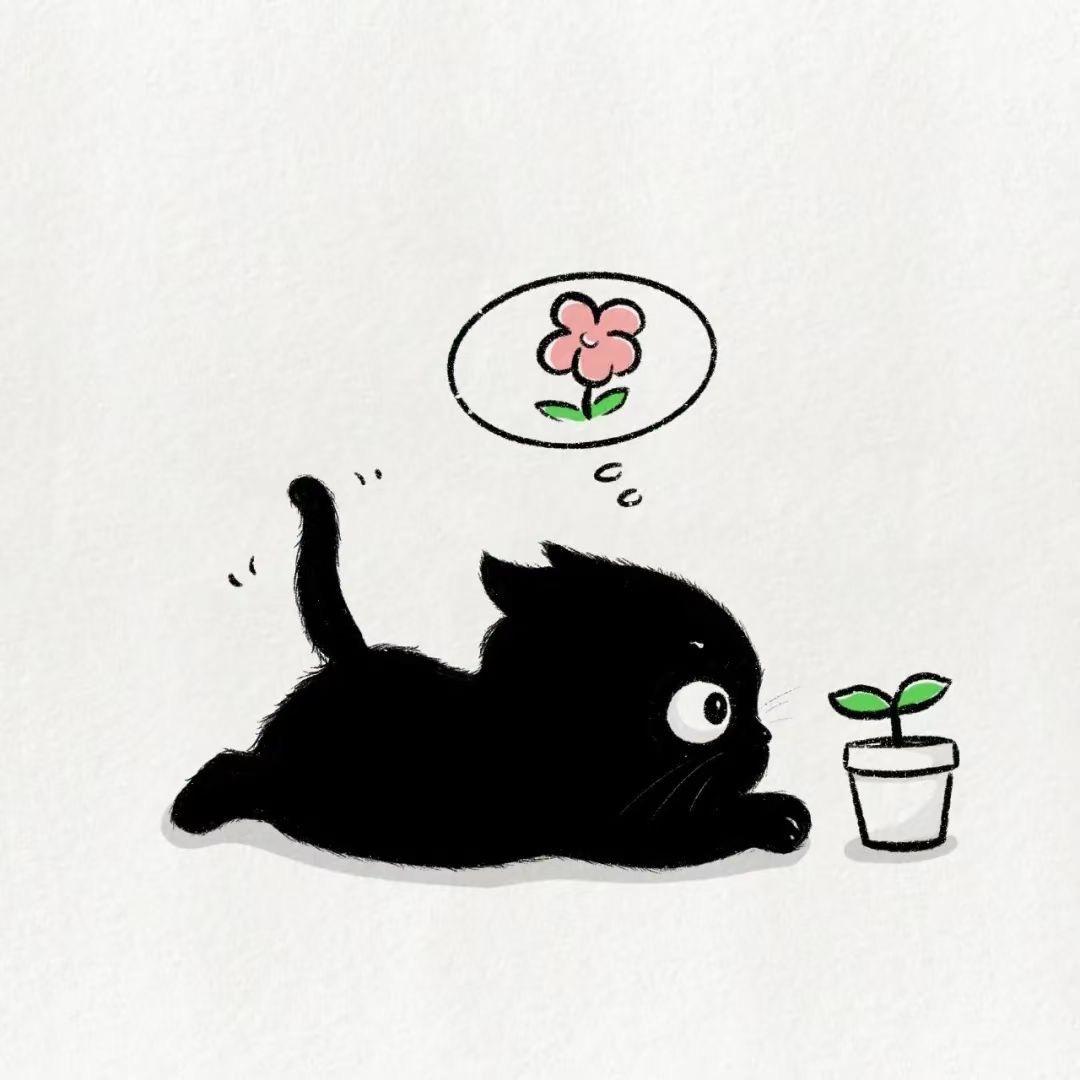 Hu•͈ᴗ•͈u