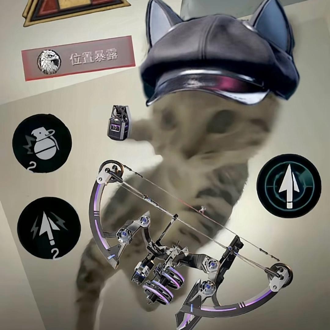 长三角香菜种植委员会