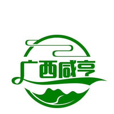 咸亨科技