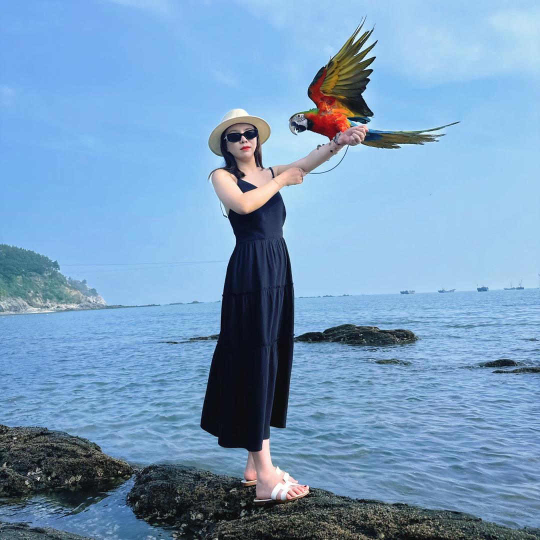 贝贝与鸟🦜(一个女孩)