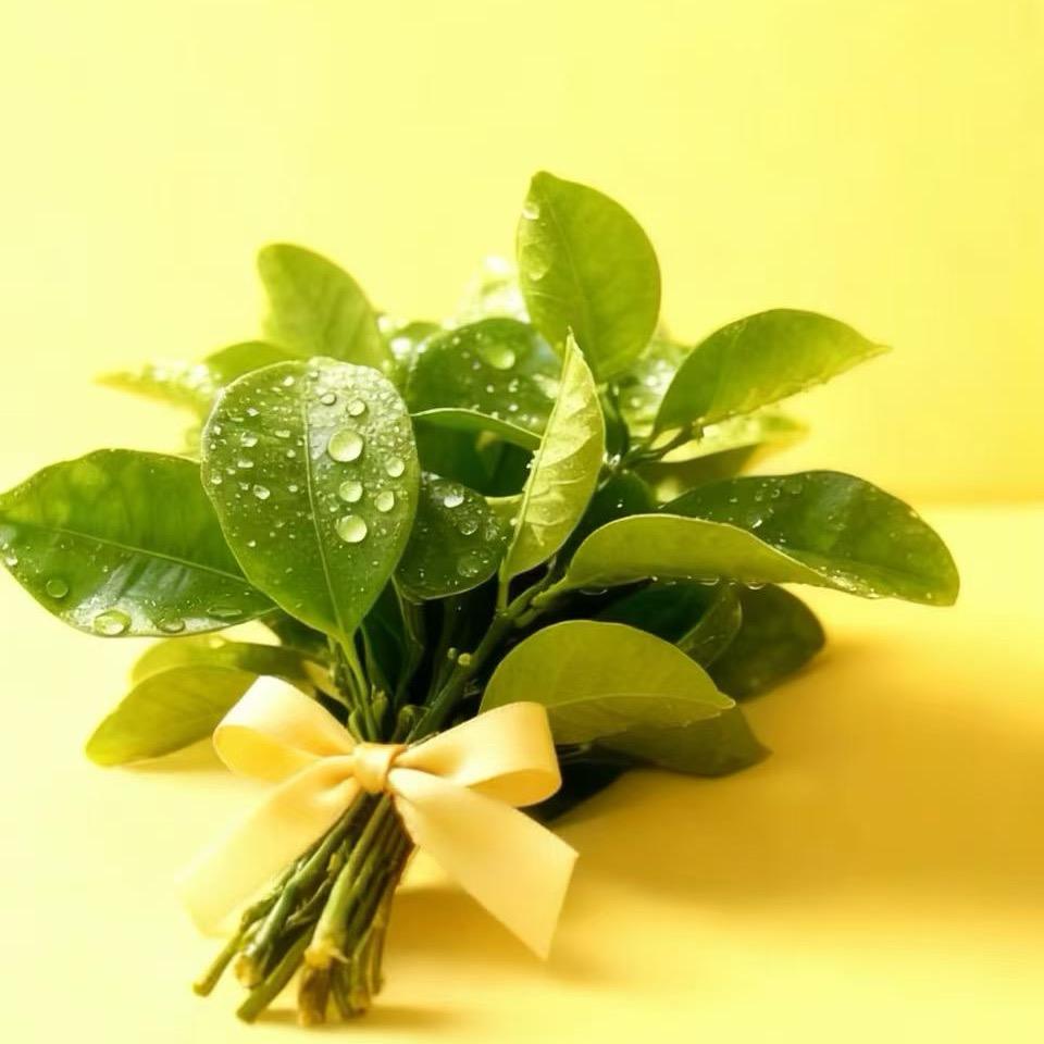 岱源@莉宝O首付购车省钱免月供全国可对接