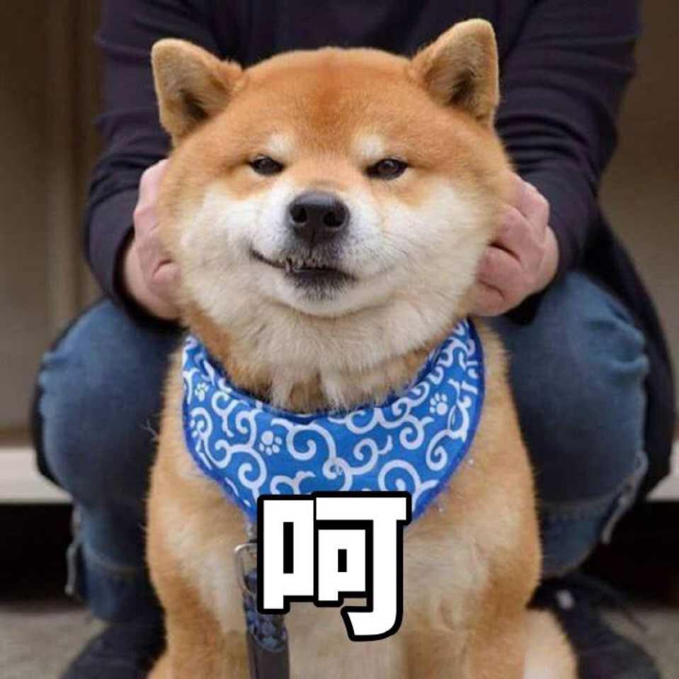 小瓜同学