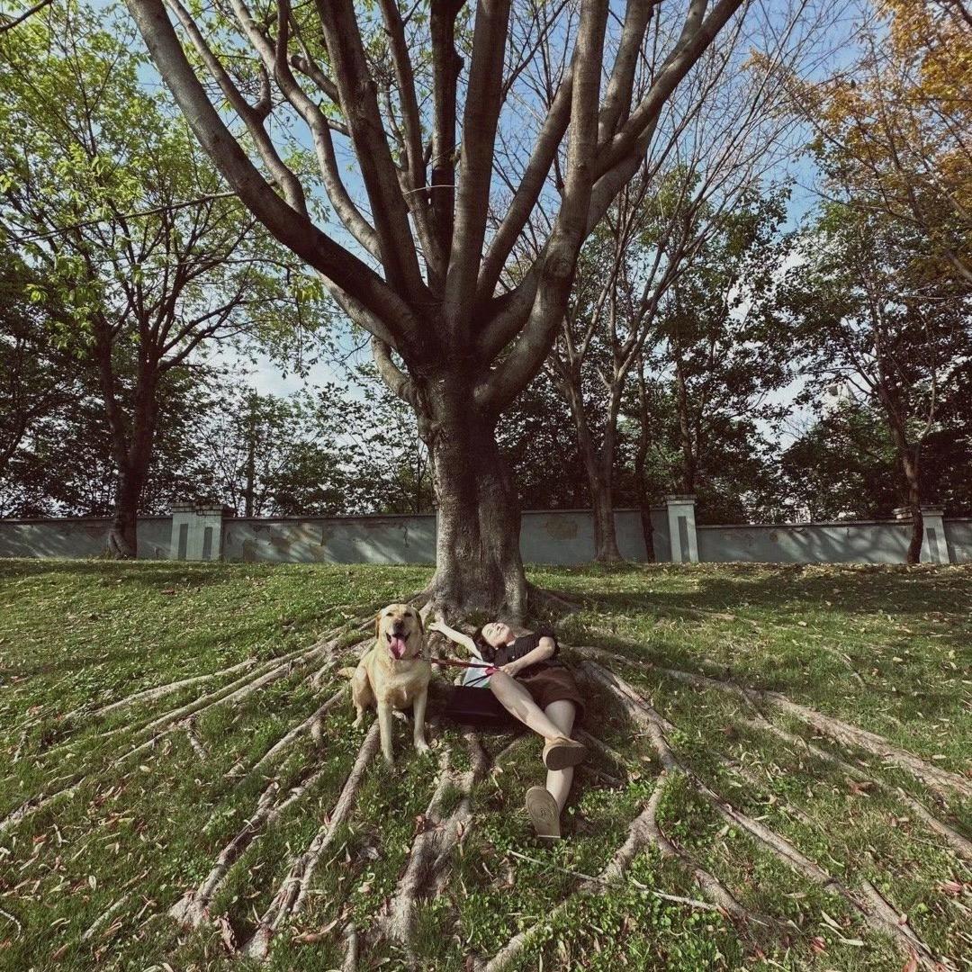 桃出去